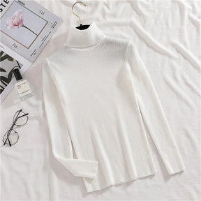 Suéter Feminino de Gola Alta